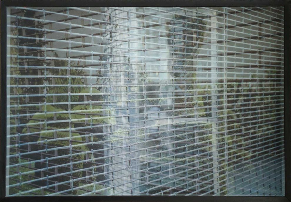 EDDART-corradosassi-img-4